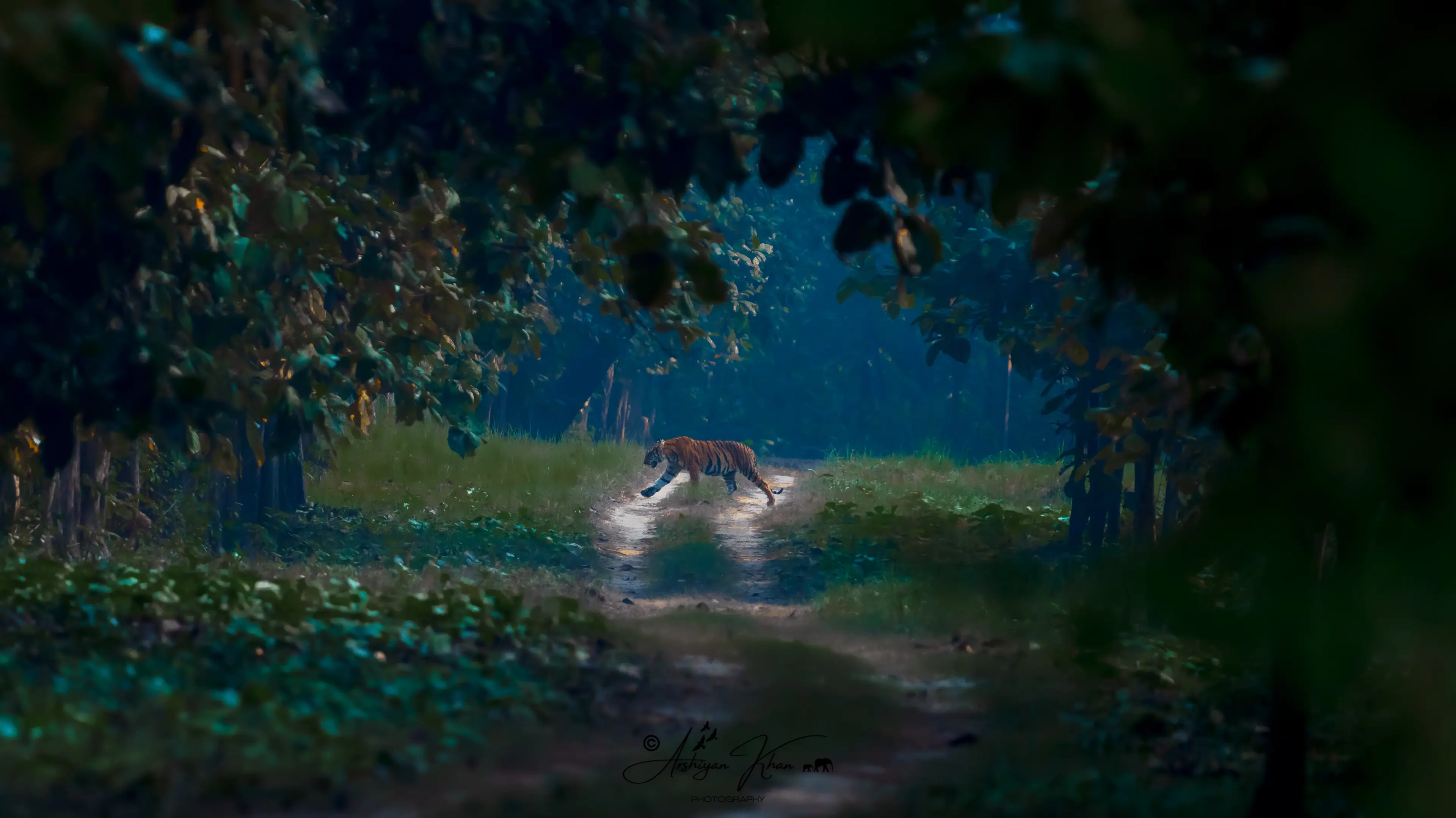 The Tarai Pilibhit riverside wildlife farmstay website